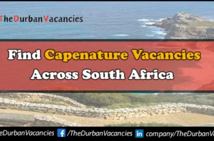 CapeNature Vacancies