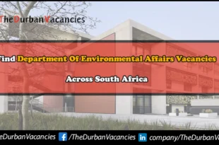 Department Of Environmental Affairs Vacancies