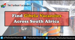 Gibela Vacancies