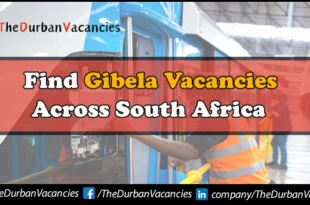Gibela Vacancies