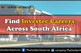 Investec Careers