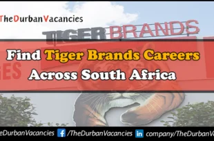 Tiger Brands Careers
