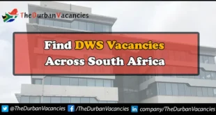 DWS Vacancies